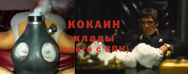 трава Балахна