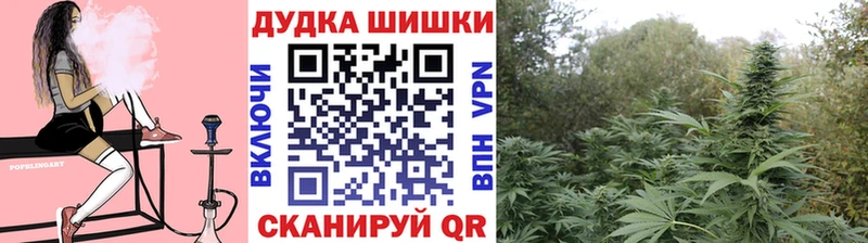 Конопля индика  купить закладку  Сосногорск 